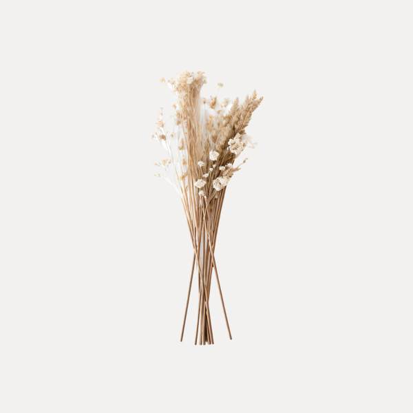 shop49-product43-1 Product Image